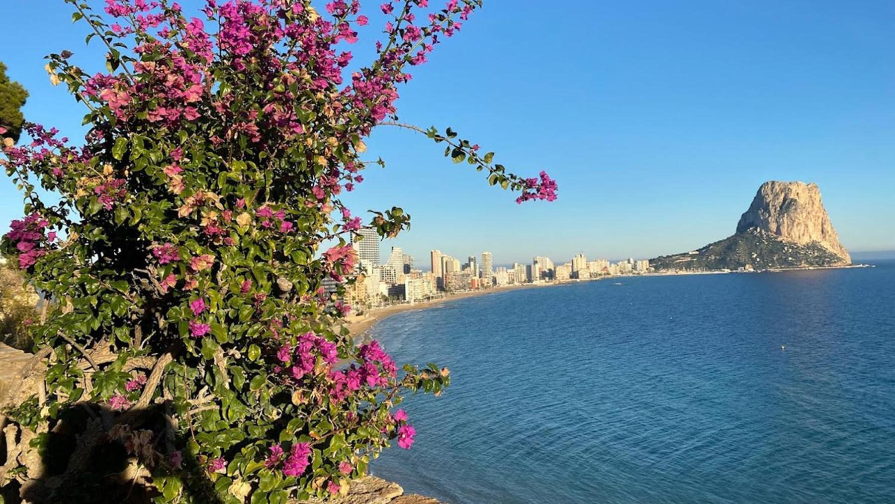 קלפה Timora Sea View New Apart' Hipocampos מראה חיצוני תמונה